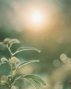 témoignage-balade-inedite-peggy