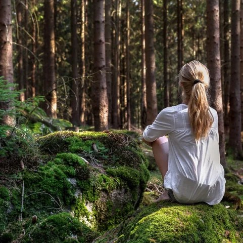 bain-de-foret-en-isere