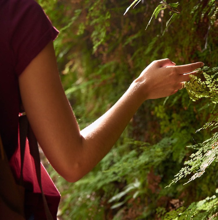 balade-des-sens-reconnexion-nature