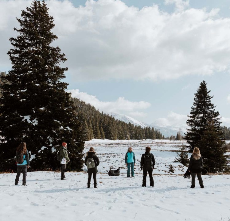 bain-de-foret-en-hiver-groupe-en-seminaire