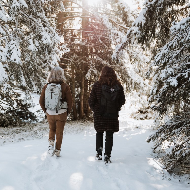 bain-de-foret-hiver-marche-neige