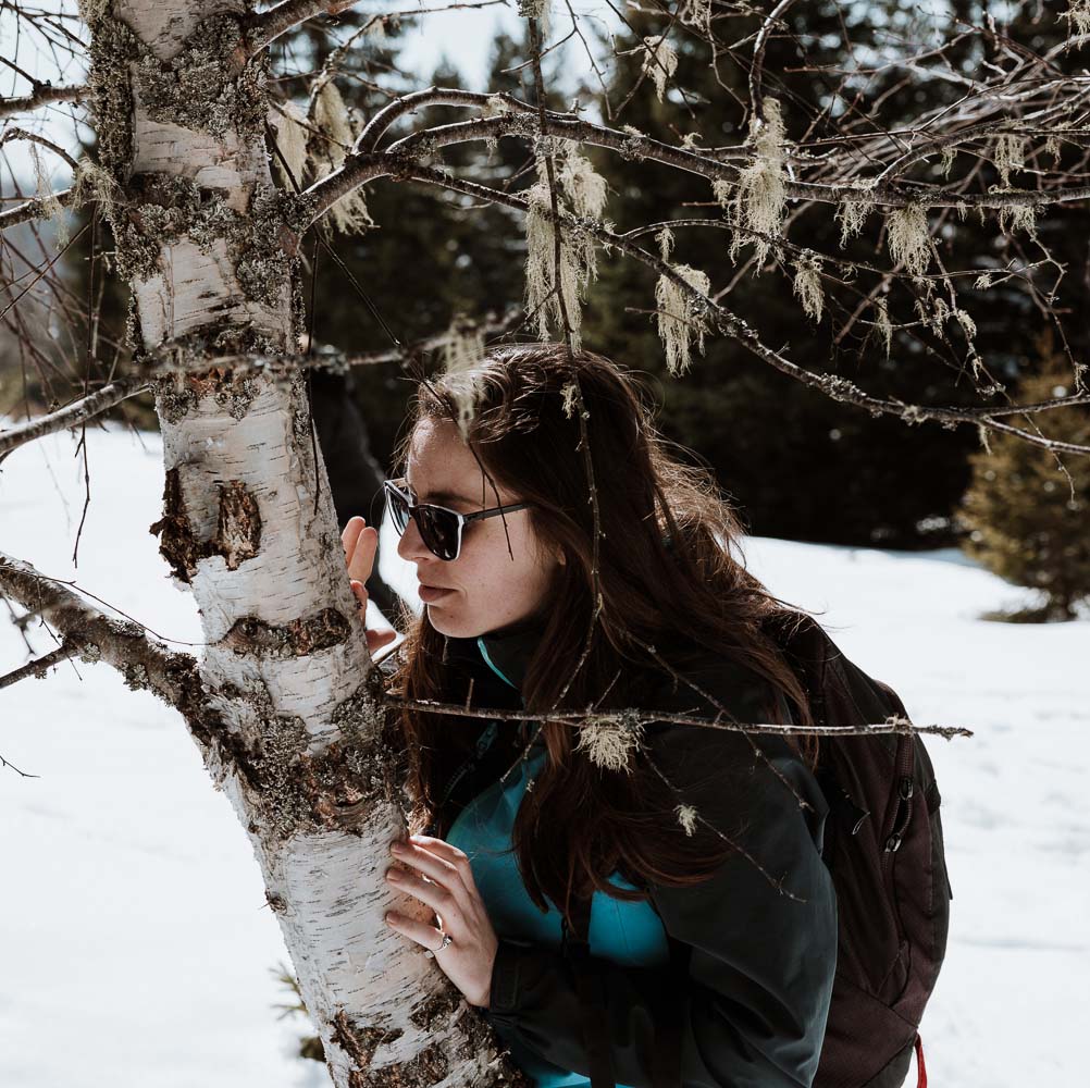 bain-de-d-foret-en-hiver-éveil-des-sens