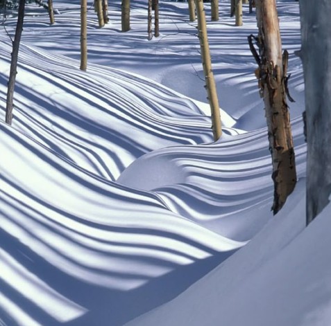 landart-hiver-creation-nature-arbres-dans-ruisseau