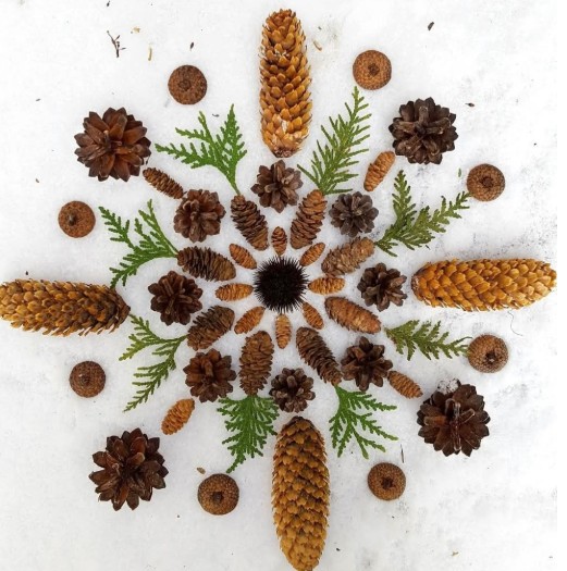 landart-hiver-creation-nature-pomme-de-pin