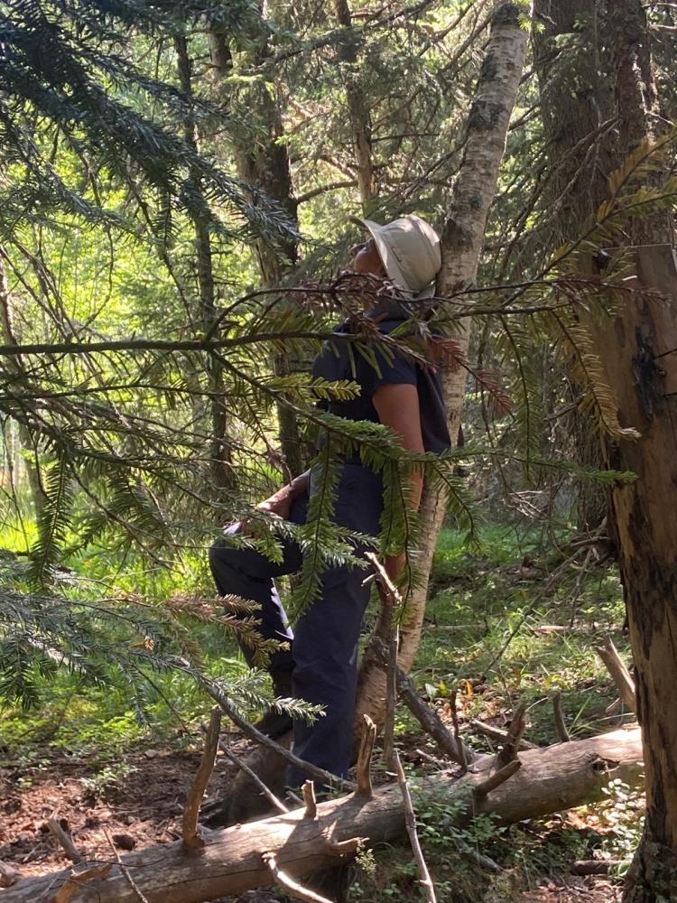 isabelle-bronner-bain-de-foret-isere