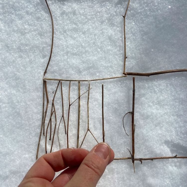 création-land-art-hiver