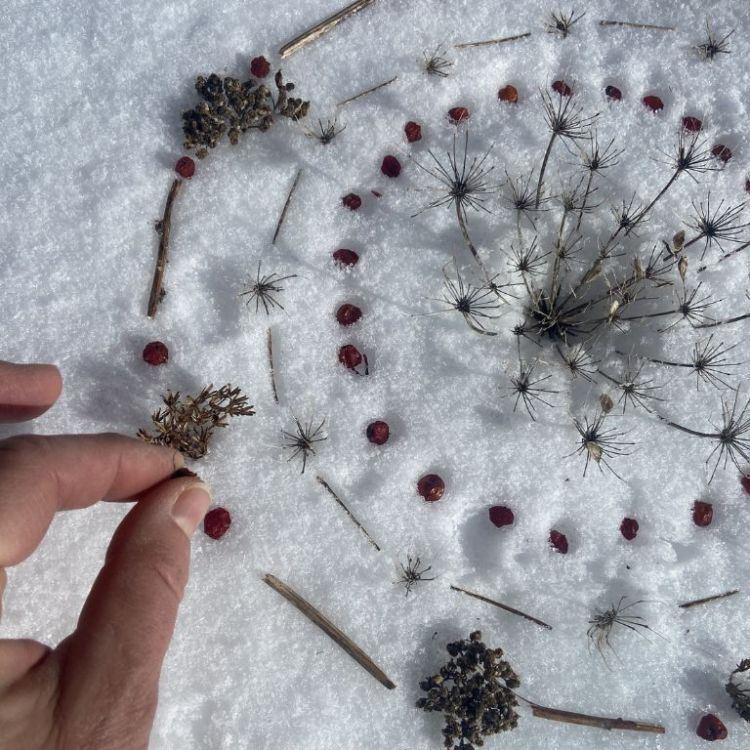 mandala-land-art-en -hiver 