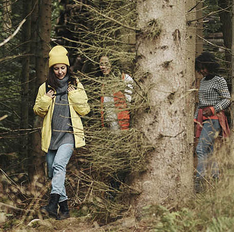 seminaire-bain-de-foret