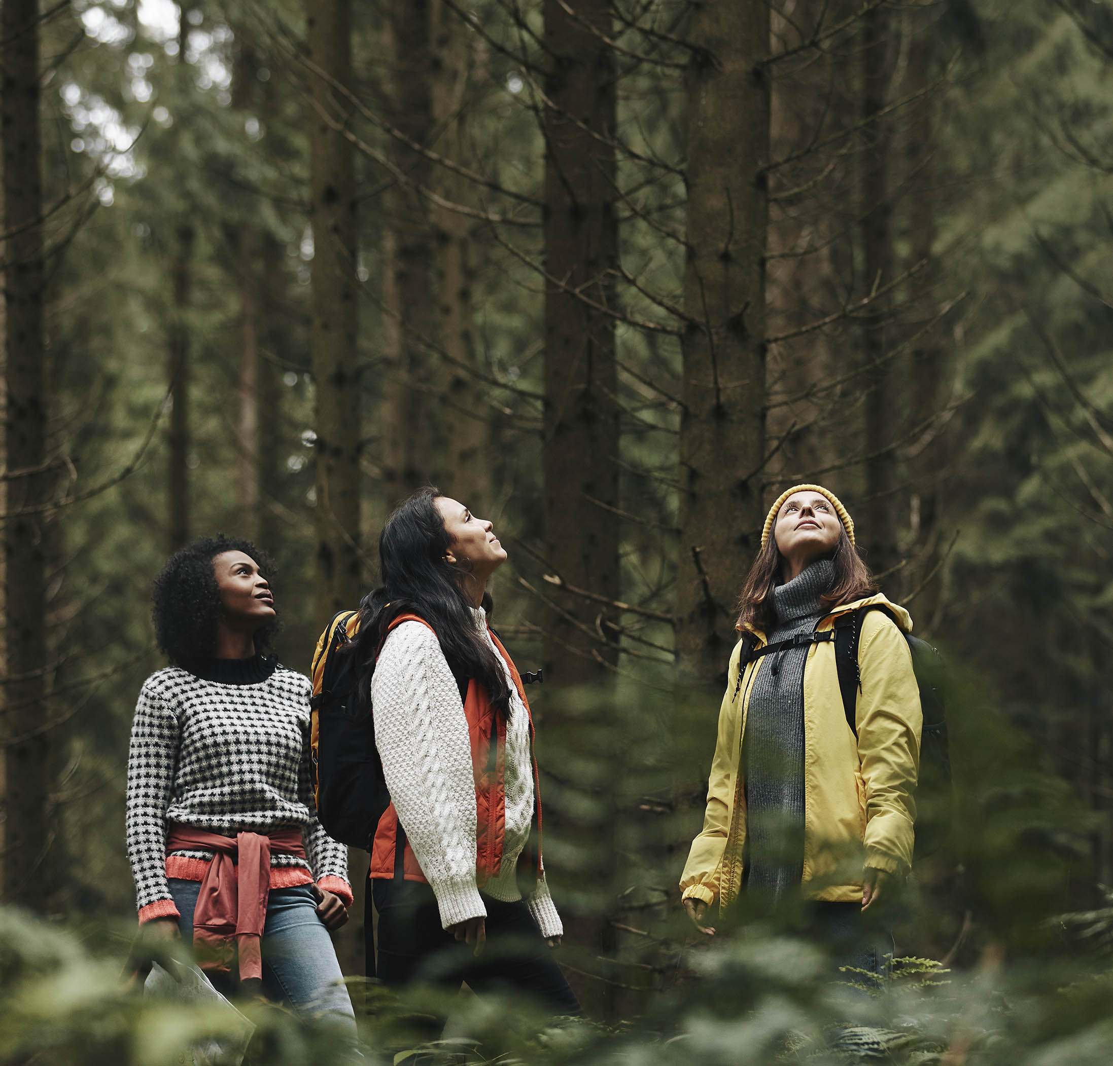 bain-de-foret-entreprise-seminaires